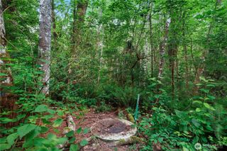 1511 Fairview Street SE, Olympia, WA 98501