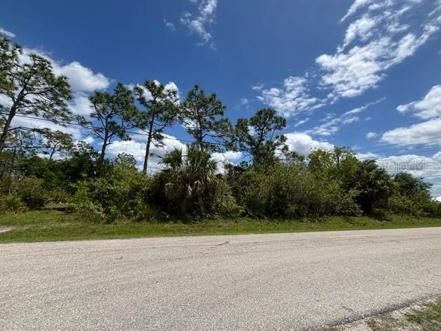 29305 HAZELWOOD DRIVE, Punta Gorda, FL 33982