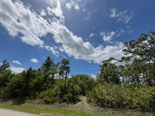 29305 HAZELWOOD DRIVE, Punta Gorda, FL 33982