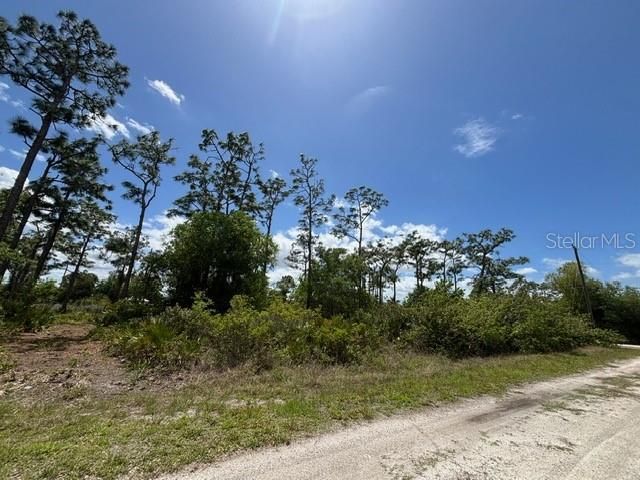 29305 HAZELWOOD DRIVE, Punta Gorda, FL 33982