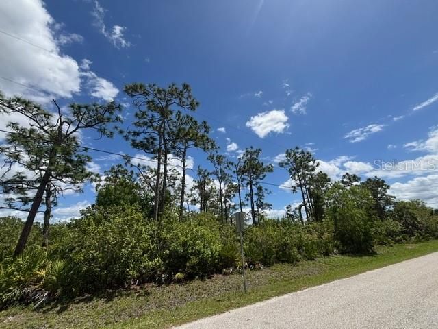 29305 HAZELWOOD DRIVE, Punta Gorda, FL 33982