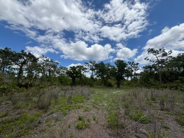 29305 HAZELWOOD DRIVE, Punta Gorda, FL 33982