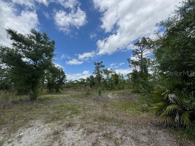 29305 HAZELWOOD DRIVE, Punta Gorda, FL 33982