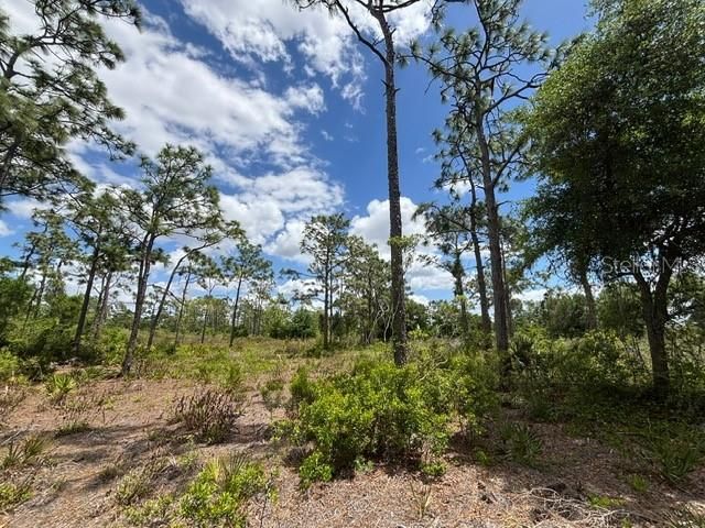 29305 HAZELWOOD DRIVE, Punta Gorda, FL 33982