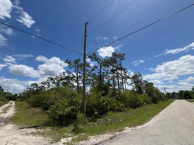 29305 HAZELWOOD DRIVE, Punta Gorda, FL 33982