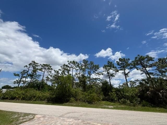 29305 HAZELWOOD DRIVE, Punta Gorda, FL 33982