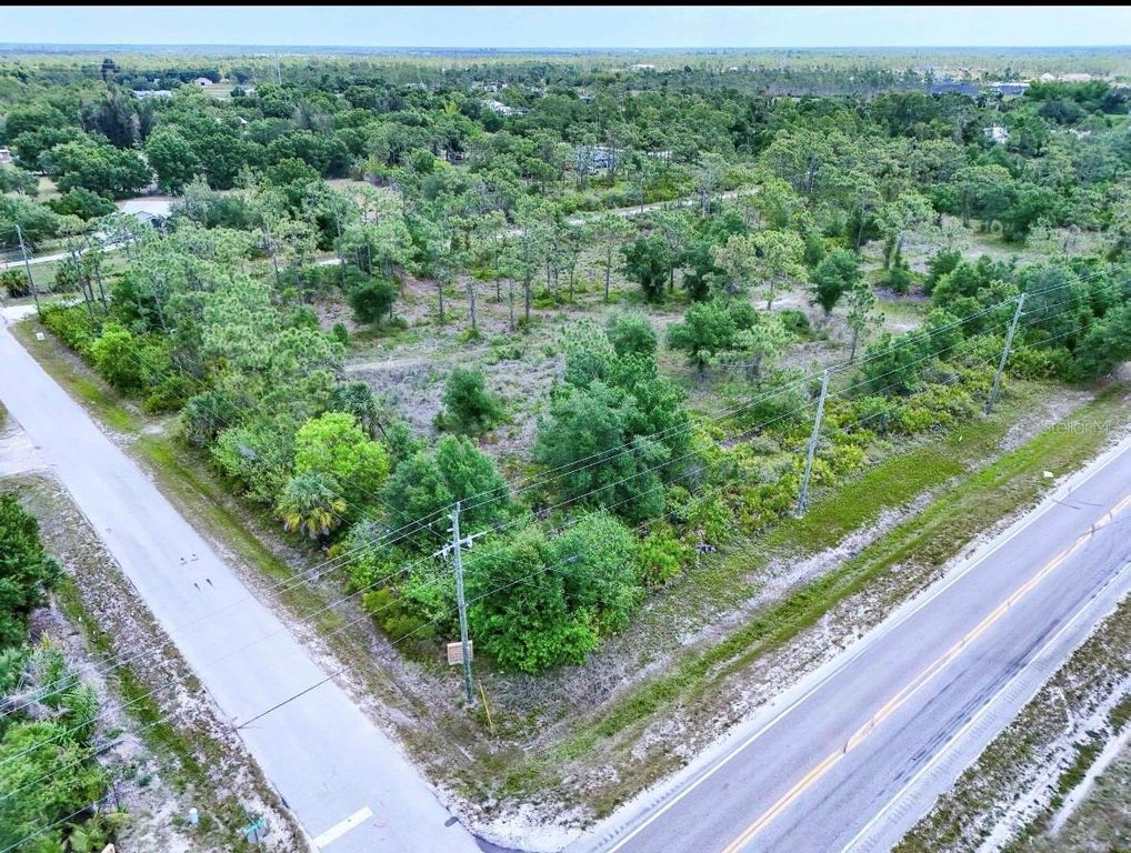 29305 HAZELWOOD DRIVE, Punta Gorda, FL 33982