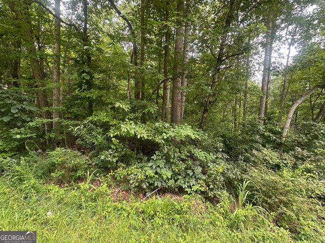 5281 N Forest Boulevard, Gainesville, GA 30506