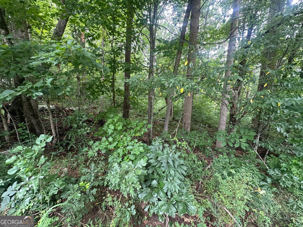 5281 N Forest Boulevard, Gainesville, GA 30506