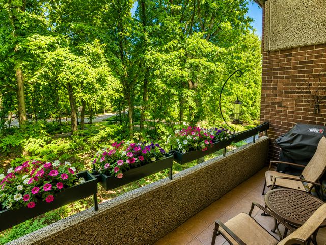 1401 Burr Oak Road 303B, Hinsdale, IL 60521