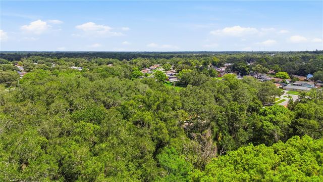 11211 CLAY PIT ROAD, Seffner, FL 33584