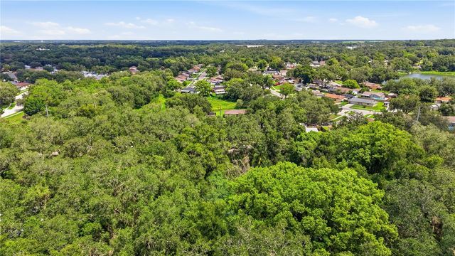 11211 CLAY PIT ROAD, Seffner, FL 33584