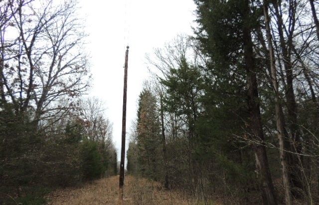 TBD County Road 4455, Point, TX 75472