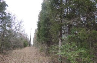 TBD County Road 4455, Point, TX 75472