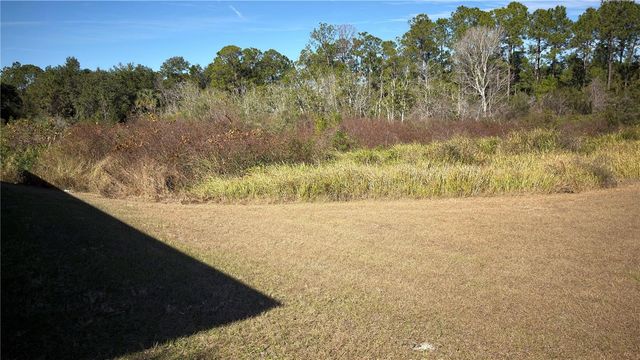 1337 CASCADE DRIVE, Davenport, FL 33837