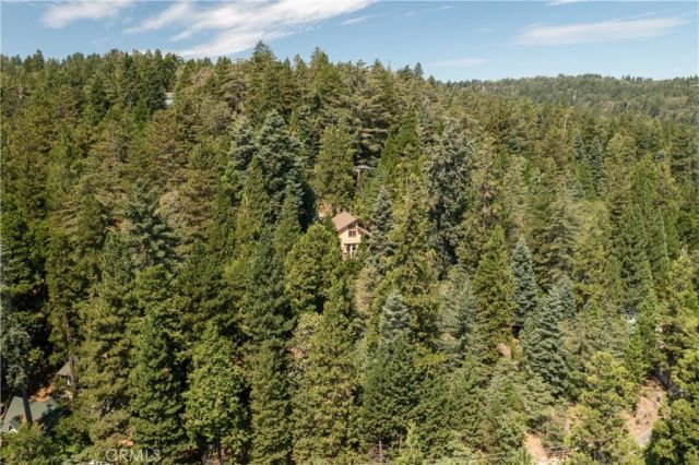 26637 Lake Forest Drive, Twin Peaks, CA 92391