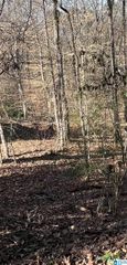 2416 BURGUNDY DRIVE, Birmingham, AL 35244