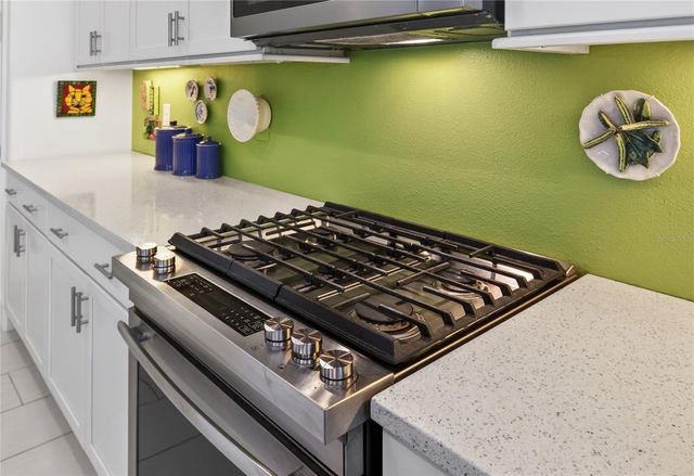 2440 PAWTUCKET PASS, Mount Dora, FL 32757