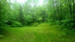 W10012 US HWY 8, Dunbar, WI 54119