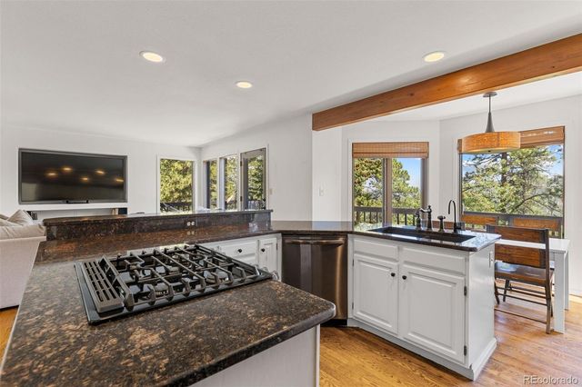 6159 S Skyline Drive, Evergreen, CO 80439