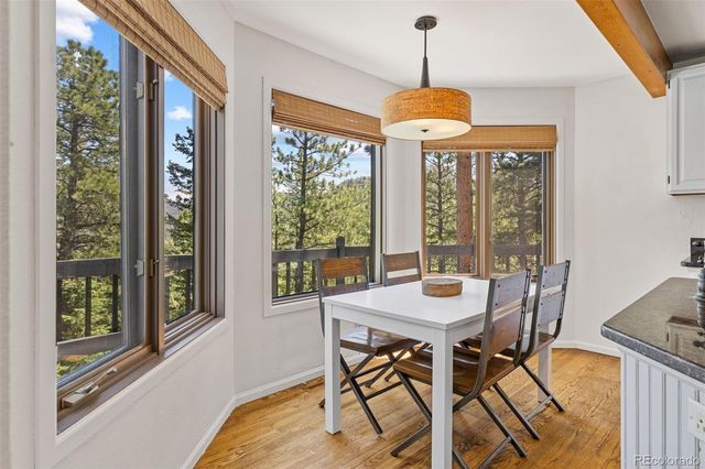 6159 S Skyline Drive, Evergreen, CO 80439