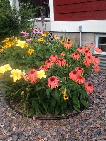 26190 Hale Court, Wyoming, MN 55092