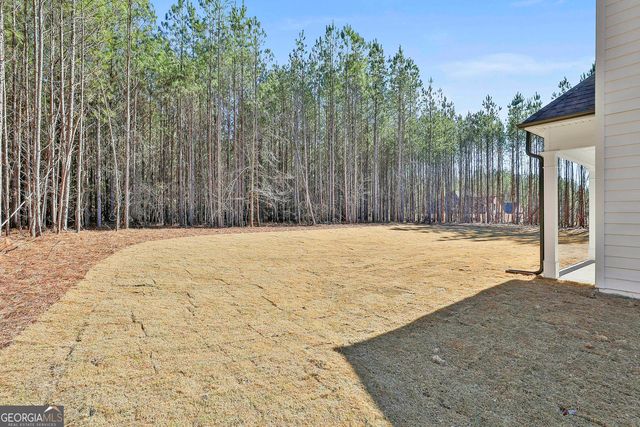 971 Traveler Lane 43, Williamson, GA 30292