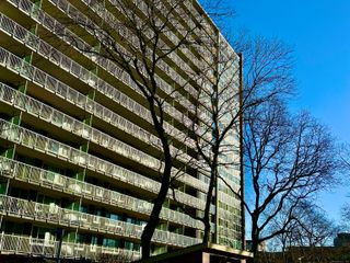 100 York Street 12-B, New Haven, CT 06511