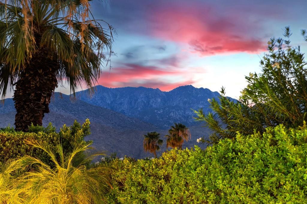Image 3 of property listing at 1453 Plato Circle, Palm Springs, CA 92264
