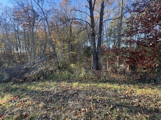 0 Pleasant Grove Rd, Westmoreland, TN 37186