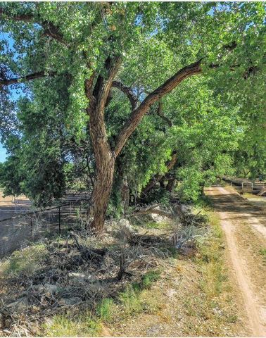 707 Walden Road, Corrales, NM 87048