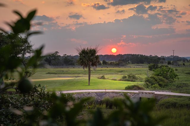61 Ocean Point Drive, Isle Of Palms, SC 29451