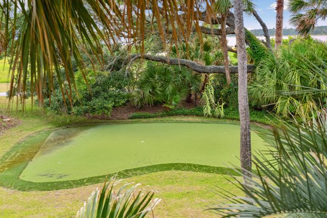 61 Ocean Point Drive, Isle Of Palms, SC 29451