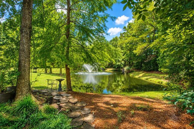 2467 Draymohr Court, Mount Pleasant, SC 29466