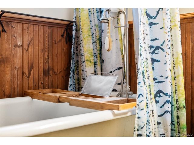 82 Iris Dr, Bailey, CO 80421