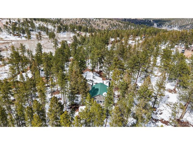 82 Iris Dr, Bailey, CO 80421