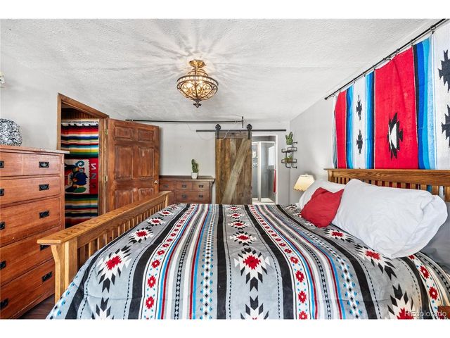 82 Iris Dr, Bailey, CO 80421
