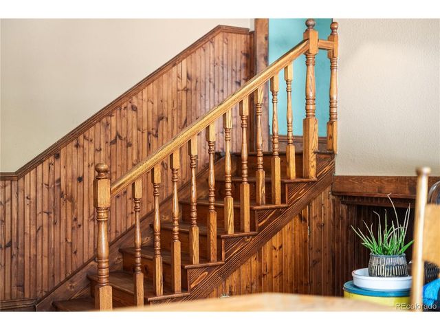 82 Iris Dr, Bailey, CO 80421