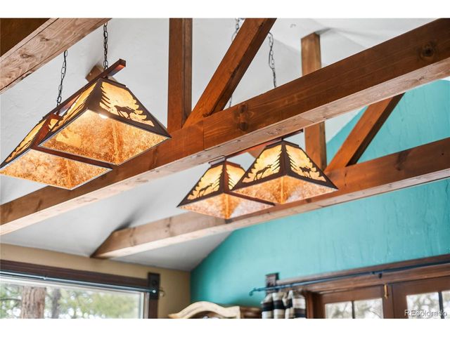 82 Iris Dr, Bailey, CO 80421