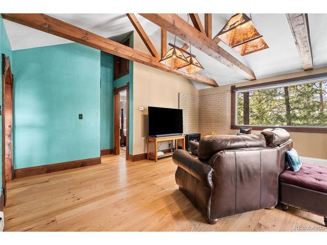82 Iris Dr, Bailey, CO 80421