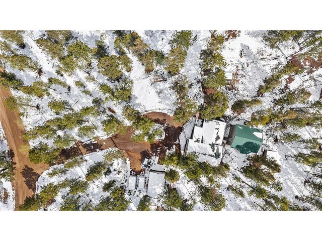 82 Iris Dr, Bailey, CO 80421