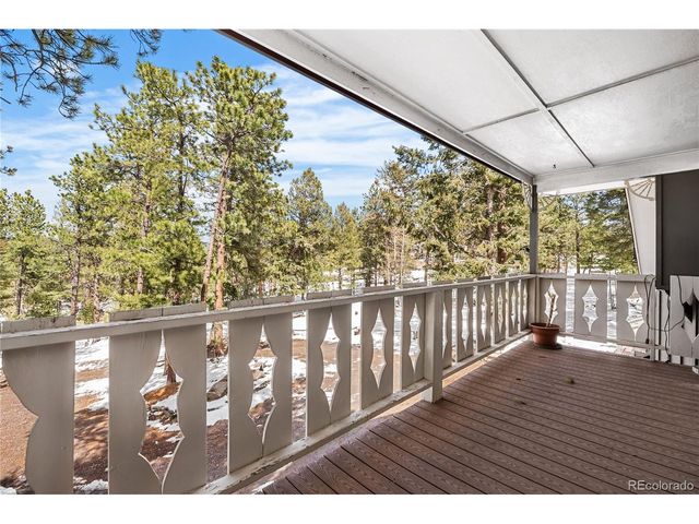 82 Iris Dr, Bailey, CO 80421