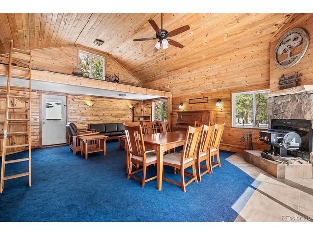 82 Iris Dr, Bailey, CO 80421