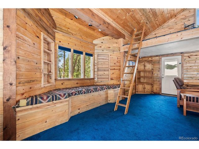 82 Iris Dr, Bailey, CO 80421