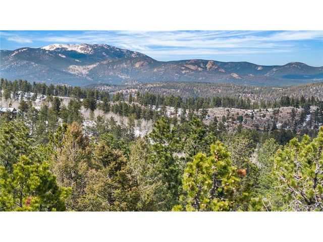 82 Iris Dr, Bailey, CO 80421