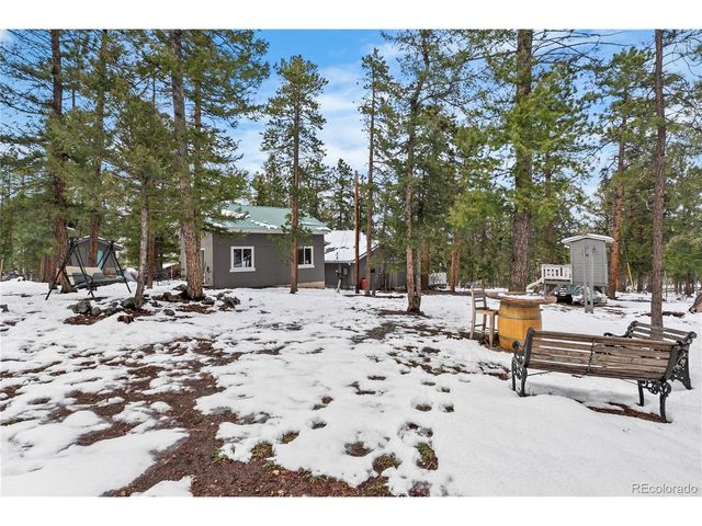 82 Iris Dr, Bailey, CO 80421