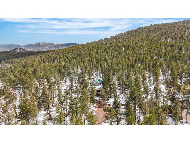 82 Iris Dr, Bailey, CO 80421