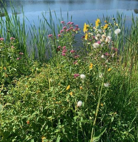 2350 119th Avenue NE, Blaine, MN 55449