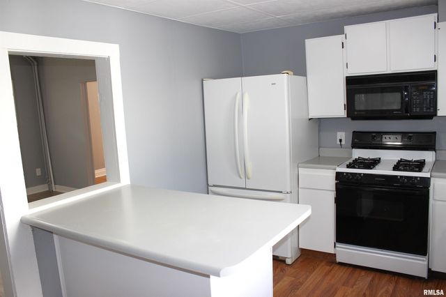 103 N SWARTS Street, Abingdon, IL 61410