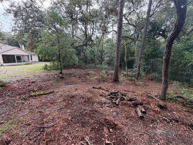 981 SEVILLA AVENUE, Lake Helen, FL 32744